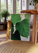Cuadro con primer plano de hojas verdes, resaltando su textura natural y frescura. Disponible en kudeko.com.