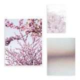 Conjunto de três quadros com flores rosadas desfocadas, ramos delicados, fundo claro, tons de rosa branco e malva, composição botânica suave em estilo floral. Disponível em kudeko.com