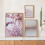 Conjunto de três quadros com flores rosadas desfocadas, ramos delicados, fundo claro, tons de rosa branco e malva, composição botânica suave em estilo floral. Disponível em kudeko.com