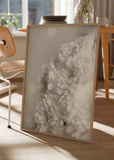 Cuadro con flores blancas en primer plano, con iluminación suave. Disponible en kudeko.com.