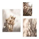 Set aus drei Wandbildern mit getrockneten Blumen, Lichtreflexen, botanischen Schatten sowie Beige-, Creme- und sanften Brauntönen im naturinspirierten Landschaftsstil. Erhältlich auf kudeko.com
