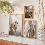 Set aus drei Wandbildern mit getrockneten Blumen, Lichtreflexen, botanischen Schatten sowie Beige-, Creme- und sanften Brauntönen im naturinspirierten Landschaftsstil. Erhältlich auf kudeko.com