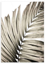 Cuadro minimalista en blanco y negro con hojas de palma, ideal para decoración moderna, disponible en kudeko.com.