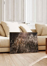 Quadro horizontal de vegetação silvestre iluminada pelo sol com tons quentes e reflexos dourados. Disponível em kudeko.com