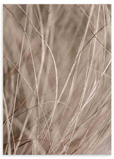 Cuadro fotográfico de hierbas secas en tonos beige y marrón claro, disponible en kudeko.com.