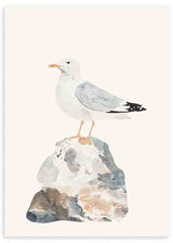 Wandbild mit weißer und grauer Möwe auf einem Felsen in Beige-, Blau- und Steintönen, im kindlichen Stil mit sanfter Komposition und neutralem Hintergrund. Erhältlich auf kudeko.com