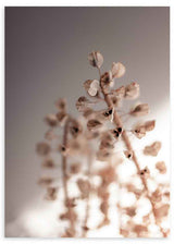 Wandbild minimalistisch mit getrockneten Blumen in warmen Farbtönen und gedämpftem Licht, ruhige und klare dekorative Ausstrahlung. Erhältlich auf kudeko.com