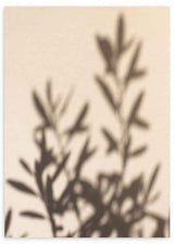 Minimalistisches Wandbild mit Schatten von Zweigen auf neutralem Hintergrund, ideal für eine ruhige und natürliche Dekoration. Erhältlich auf kudeko.com