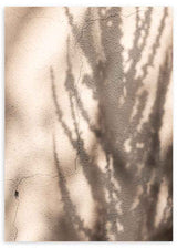 Cuadro con sombras de ramas proyectadas sobre pared con textura cálida. Disponible en kudeko.com.