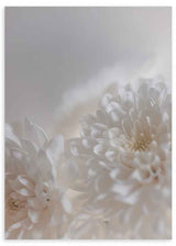 Cuadro de flores blancas en primer plano con luz suave, ideal para decoraciones modernas y nórdicas. Disponible en kudeko.com.