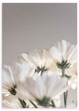 Cuadro minimalista con flores blancas en luz suave y fondo neutro. Disponible en kudeko.com.