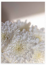 Cuadro con flores blancas y luz natural, transmitiendo serenidad y frescura. Disponible en kudeko.com.
