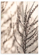 Cuadro minimalista con ramas en tonos suaves y neutros, ideal para decoración natural y moderna, disponible en kudeko.com.