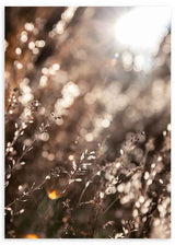 Cuadro minimalista con luz dorada sobre un campo natural y efecto bokeh. Disponible en kudeko.com.