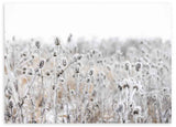 Cuadro horizontal de flores invernales cubiertas de escarcha sobre un fondo minimalista. Disponible en kudeko.com.