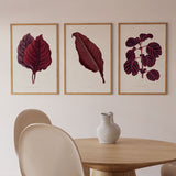 Cuadro moderno con diseño botánico en tonos púrpura y burdeos, disponible en kudeko.com.