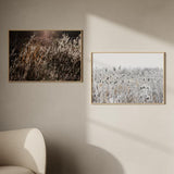 Cuadro horizontal de flores invernales cubiertas de escarcha sobre un fondo minimalista. Disponible en kudeko.com.