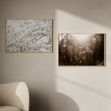 Cuadro horizontal de flores blancas en rama sobre fondo claro. Disponible en kudeko.com.