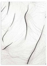 Cuadro de líneas negras curvas sobre fondo blanco con finos trazos grises entrelazados, composición abstracta de estilo minimalista. Disponible en kudeko.com
