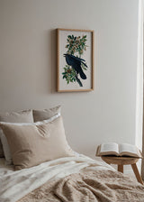 Cuadro cuadrado ilustración de un cuervo disponible en kudeko.com