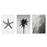 Conjunto de tres cuadros con estrella de mar, palmera tropical y orilla del mar en tonos blanco, gris y negro, de estilo fotográfico. Disponible en kudeko.com