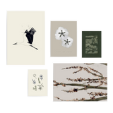 Conjunto de cinco cuadros decorativos sin marco de estilo minimalista y orgánico, mural sereno de naturaleza con flores y cigüeña, modelo Mural III - Tierra serena