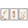 Conjunto de tres cuadros de estilo floral, eucaliptos en tonos bronce