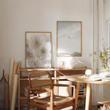 Cuadro minimalista de flores blancas en primer plano, ideal para decoración elegante y serena, disponible en kudeko.com.