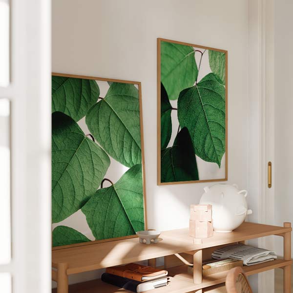 Set aus zwei Wandbildern mit großen grünen Blättern, detaillierter botanischer Struktur, klar weißem Hintergrund und natürlicher Komposition im Stil von Natur und Landschaft. Erhältlich auf kudeko.com