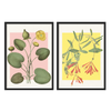 Conjunto de dos cuadros decorativos con marco de estilo flores y tonos_pastel, dúo botánico de nenúfares y madreselva en tonos suaves, modelo Two Combo - Bloom Water Lilies