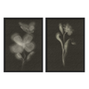 Conjunto de dos cuadros decorativos con marco de estilo minimalista y orgánico, díptico botánico de flores en negro, modelo Two Combo - Biophilic