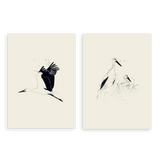 Conjunto de dos cuadros decorativos sin marco de estilo minimalista y blanco_y_negro, dúo de cigüeñas en vuelo y en el nido, modelo Two Combo - Cigüeñas