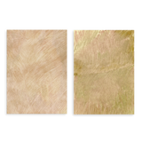 Conjunto de dos cuadros decorativos sin marco de estilo minimalista y orgánico, díptico abstracto de pradera en tonos tierra suaves, modelo Two Combo - Pradera Salvaje