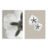 Conjunto de dos cuadros decorativos sin marco de estilo minimalista y sereno, flores de jara en composición suave, modelo Two Combo - Flor de jara