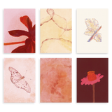 Conjunto de seis cuadros decorativos sin marco de estilo orgánico y abstracto, composición orgánica floral en tonos suaves, modelo Six Combo - Silencios Orgánicos