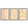Conjunto de tres cuadros decorativos con marco de estilo minimalista y beige, composición abstracta de hojas suaves en tonos cálidos, modelo Three Combo - Hojas de Luz