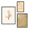 Conjunto de tres cuadros decorativos con marco de estilo minimalista y orgánico, composición botánica abstracta en acuarela, modelo Mural I - Silencios Salvajes
