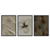 Conjunto de tres cuadros decorativos con marco de estilo orgánico y sereno, composición botánica abstracta en tonos tierra, modelo Three Combo - Reflejos del tiempo