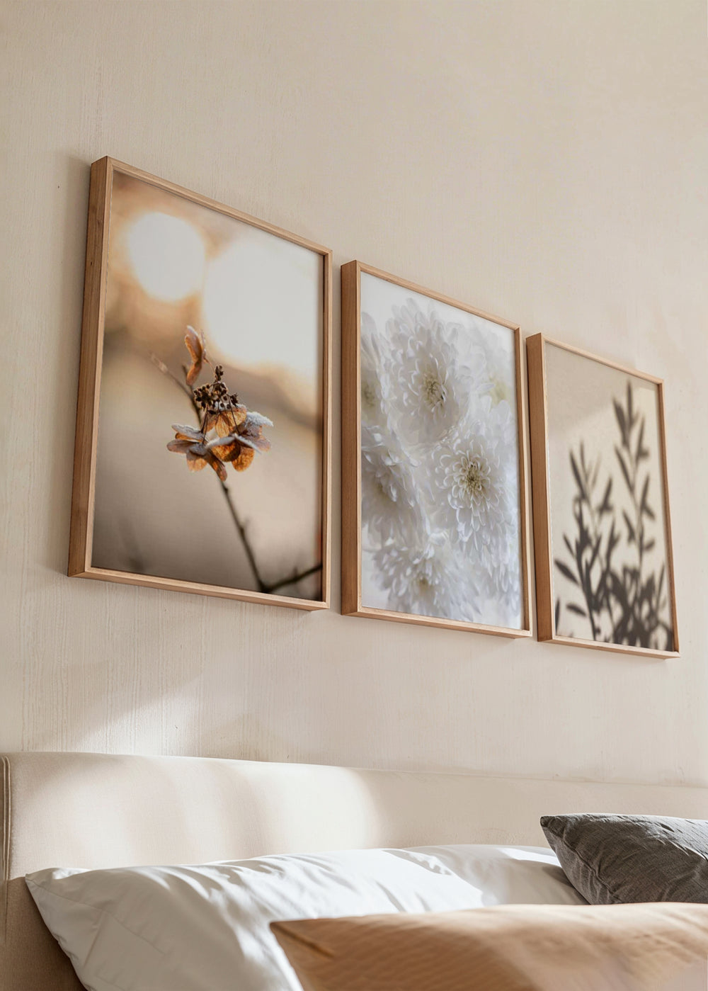 Set aus drei gerahmten Wandbildern mit getrockneter Blume im warmen Licht, weißen Chrysanthemen in Nahaufnahme, botanischen Schatten, Creme-, Sand- und sanften Brauntönen im floralen Stil. Erhältlich auf kudeko.com