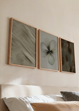 Conjunto de tres cuadros decorativos de estilo orgánico y sereno, composición botánica abstracta en tonos tierra, modelo Three Combo - Reflejos del tiempo