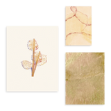 Conjunto de tres cuadros decorativos sin marco de estilo minimalista y orgánico, composición botánica abstracta en tonos tierra suaves, modelo Mural I - Silencios Salvajes