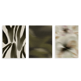 Conjunto de tres cuadros decorativos sin marco de estilo minimalista y orgánico, tríptico abstracto en tonos oliva y bruma, modelo Three Combo - Bosque Velado