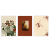 Conjunto de tres cuadros decorativos sin marco de estilo minimalista y orgánico, trío mediterráneo de cactus, bodegón y azulejos, modelo Three Combo - Raíces