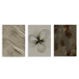 Conjunto de tres cuadros decorativos sin marco de estilo orgánico y sereno, composición botánica abstracta en tonos tierra, modelo Three Combo - Reflejos del tiempo