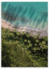 Cuadro fotográfico de palmeras y playa. Una obra muy veraniega y fresca, cargada del azul del cielo.