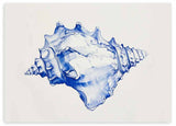 Tableau horizontal avec grand coquillage marin détaillé en bleu cobalt, bleu clair et blanc, sur fond neutre, dans un style minimaliste et côtier. Disponible sur kudeko.com