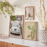 Cuadro fotográfico, cactus, Cacti Shadowplay, kudeko.com