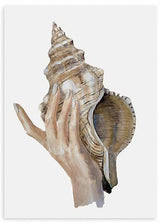 Quadro com uma mão a segurar uma grande concha marinha sobre fundo branco, em tons de bege, areia, castanho e marfim, num estilo de ilustração limpo e natural. Disponível em kudeko.com
