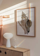 Quadro com uma mão a segurar uma grande concha marinha sobre fundo branco, em tons de bege, areia, castanho e marfim, num estilo de ilustração limpo e natural. Disponível em kudeko.com