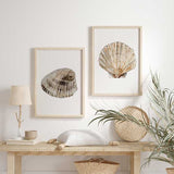 Quadro com concha marinha em primeiro plano, fundo branco, tons de bege, areia, cinzento claro e castanho-escuro, estilo minimalista e natural. Disponível em kudeko.com